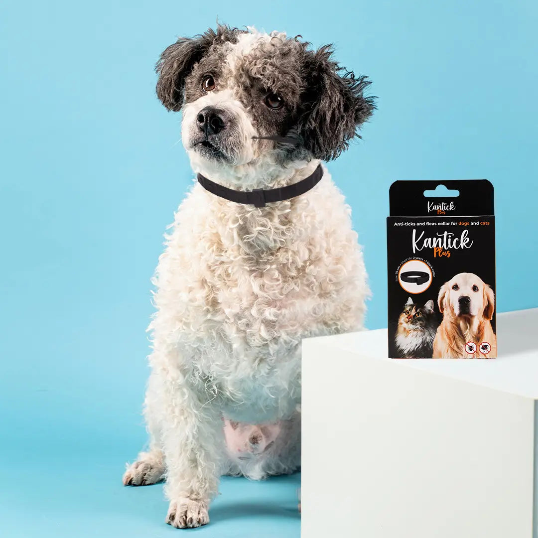 Ogrlica protiv krpelja i buva 1+1 GRATIS