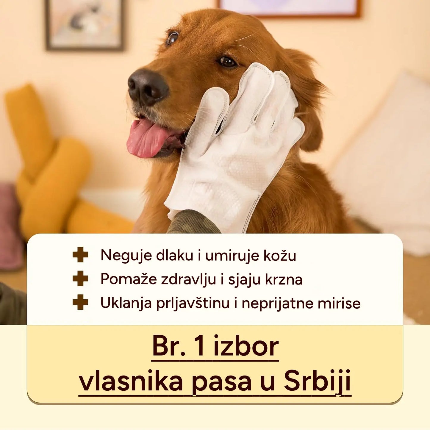 Rukavice za čišćenje ljubimca (6 komada)