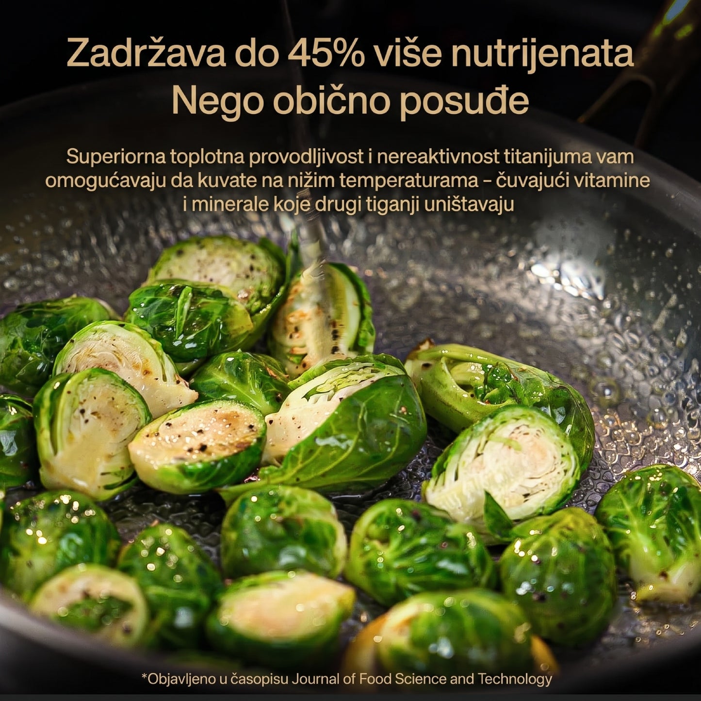 TitanPro premium tiganj sa poklopcem