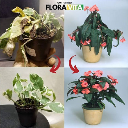 Floravita đubrivo za biljke