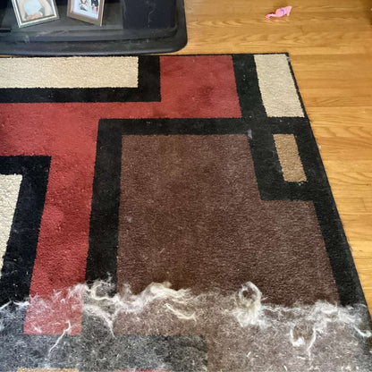 PetHair skidač dlaka